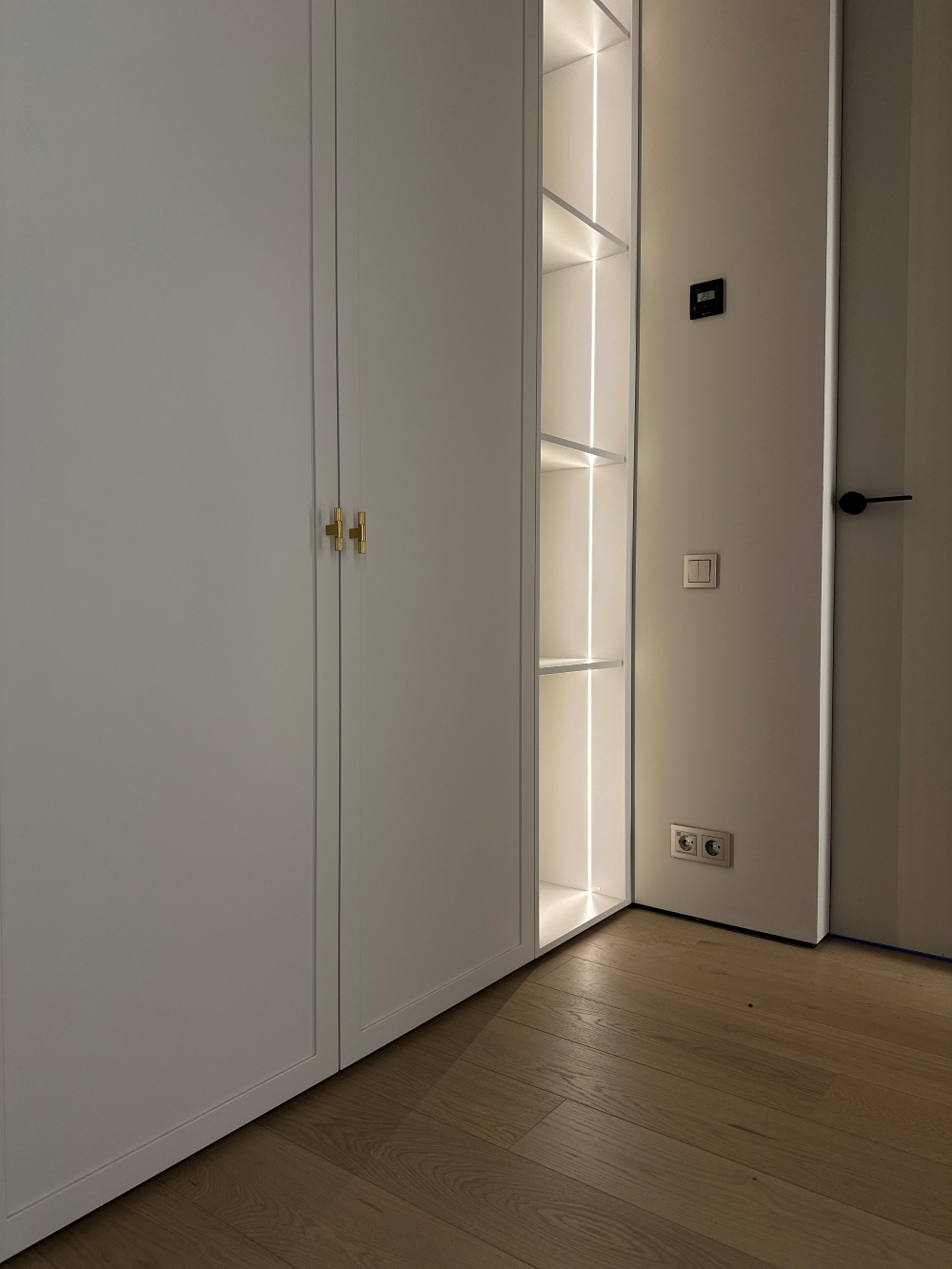 Частный дом Рышкановка